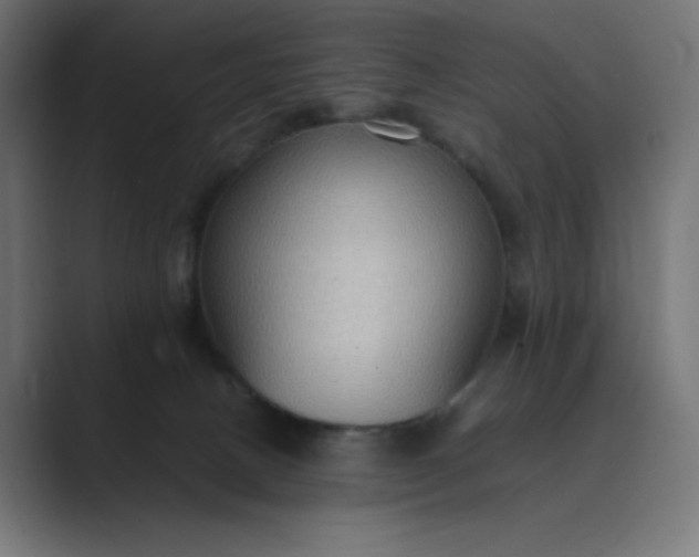 X0000089370082200706291255