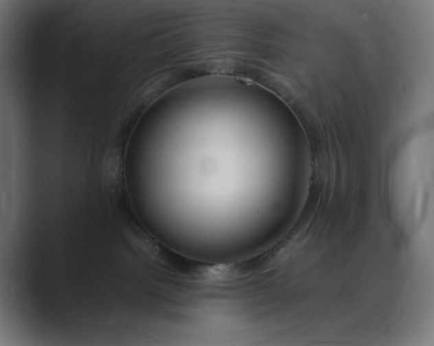 X0000089370092200706291255