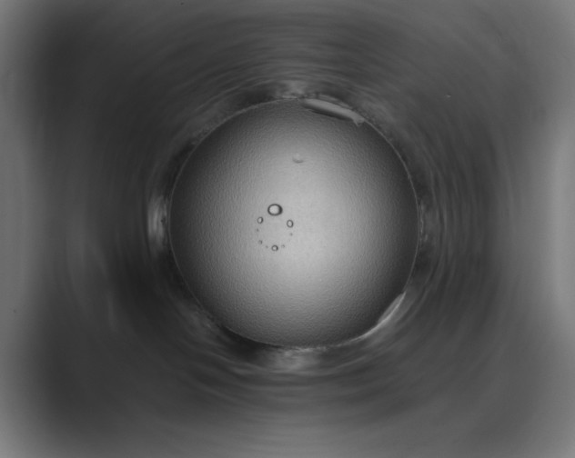 X0000089370094200706291255