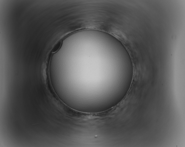 X0000089370098200706291254