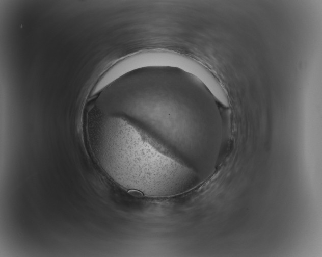 X0000089370099200706291254
