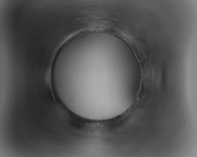 X0000089370100200706291254