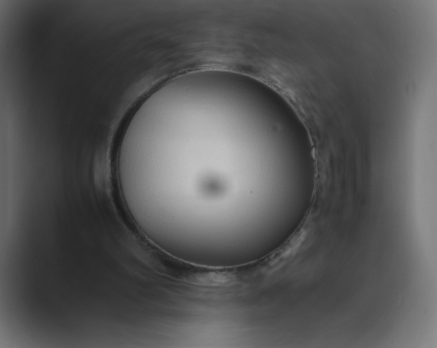 X0000089370102200706291254