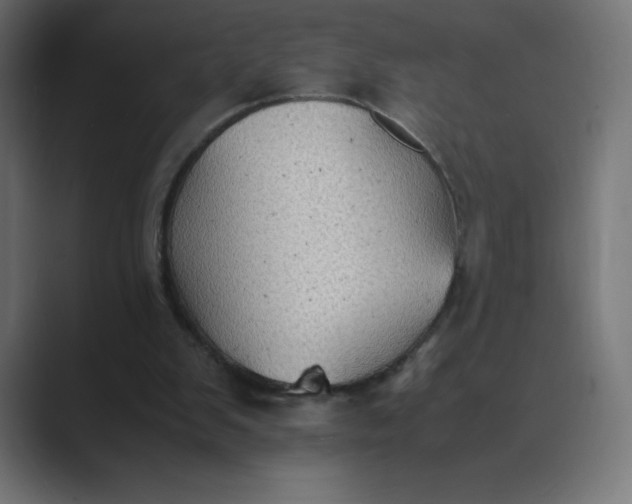 X0000089370103200706291254