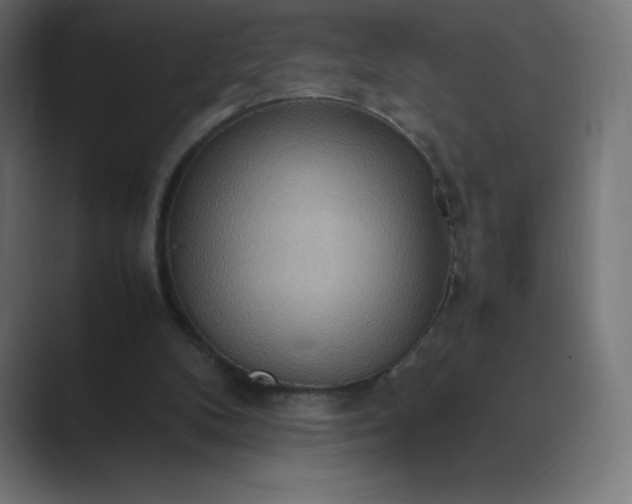 X0000089370104200706291254