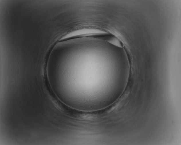 X0000089370105200706291254