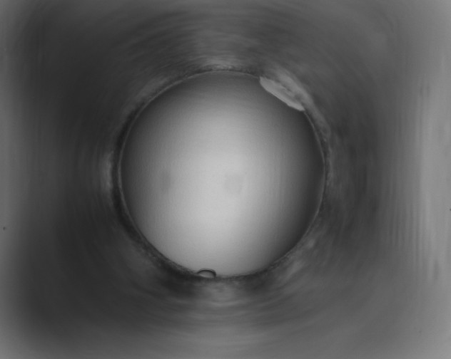 X0000089370106200706291254