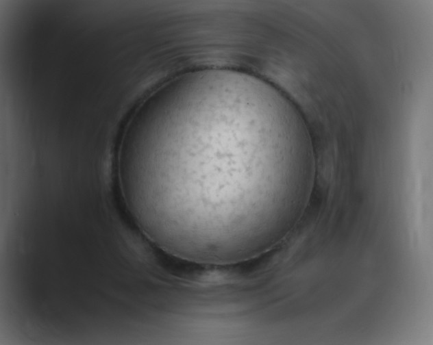 X0000089370111200706291254