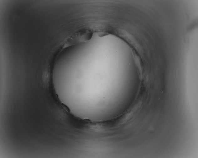 X0000089370113200706291254