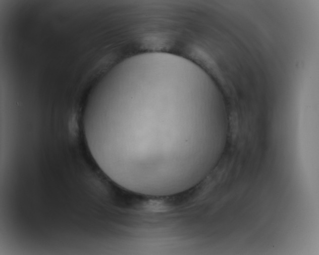 X0000089370114200706291254