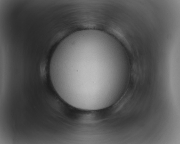 X0000089370116200706291254