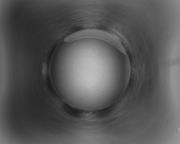 X0000089370117200706291254