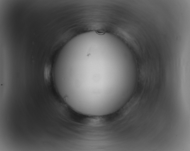 X0000089370118200706291254