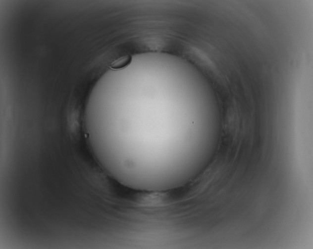 X0000089370122200706291254