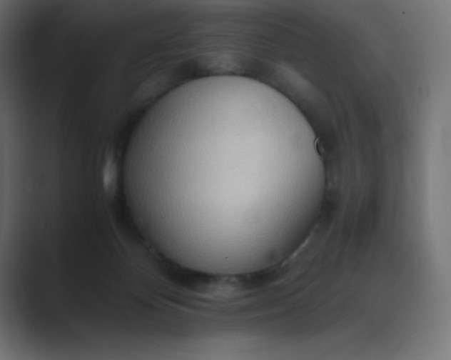 X0000089370124200706291254