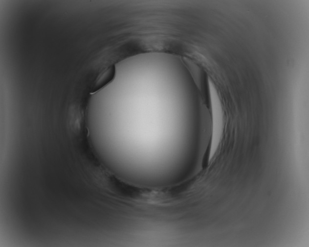 X0000089370125200706291254