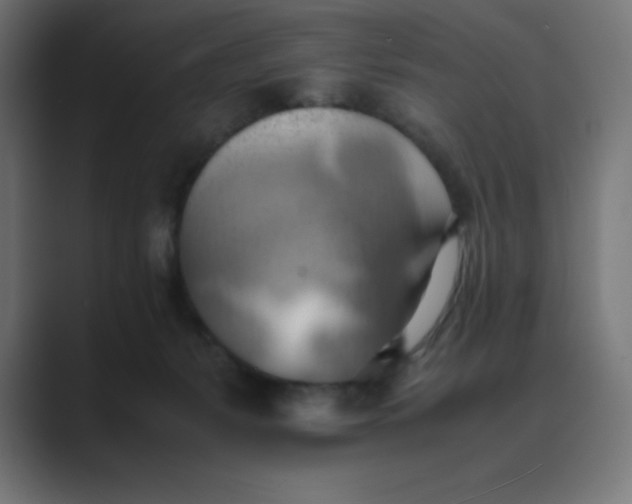 X0000089370127200706291254