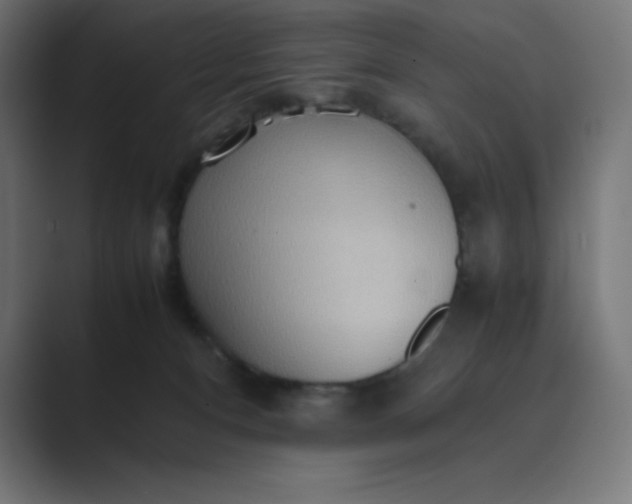 X0000089370128200706291254