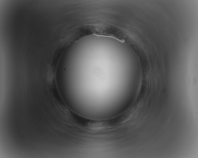 X0000089370129200706291254