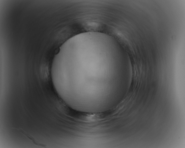 X0000089370130200706291254