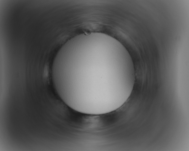 X0000089370132200706291254