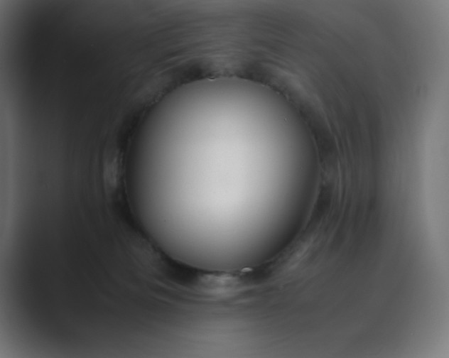 X0000089370133200706291254