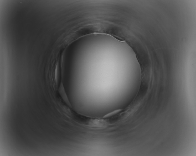 X0000089370137200706291254