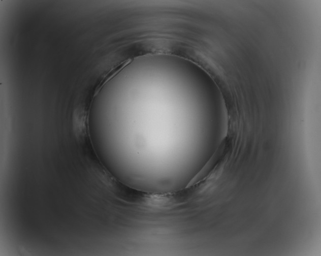 X0000089370141200706291254