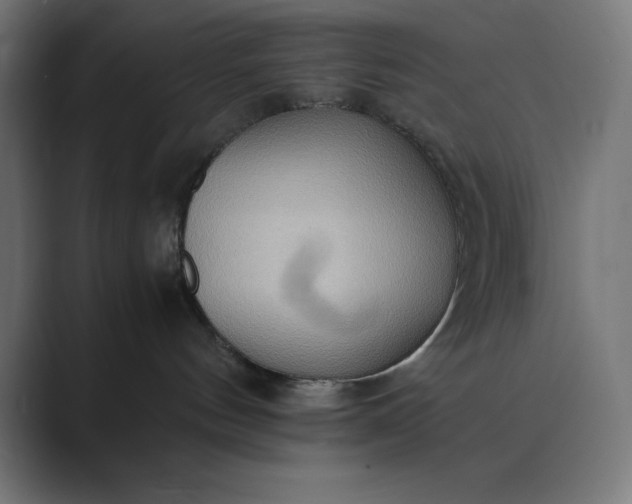 X0000089370144200706291254
