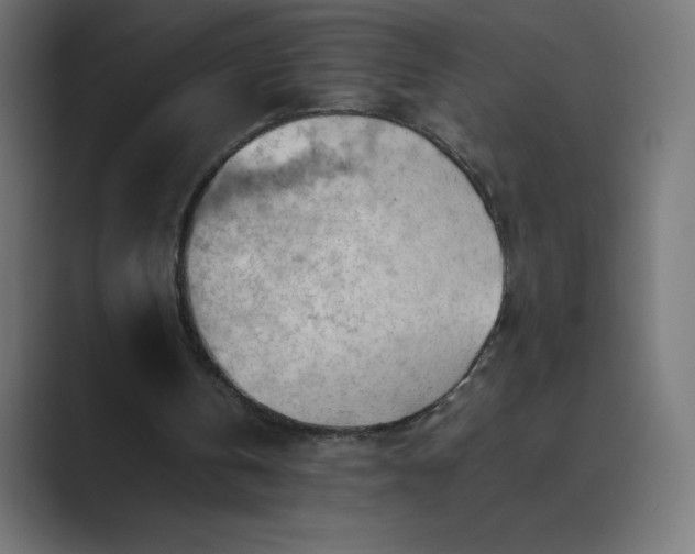 X0000089370146200706291253
