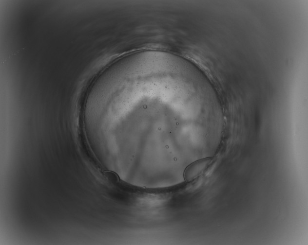 X0000089370149200706291253
