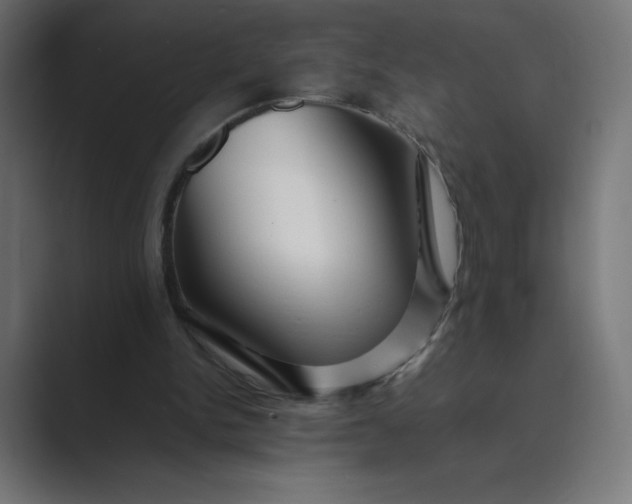 X0000089370150200706291253
