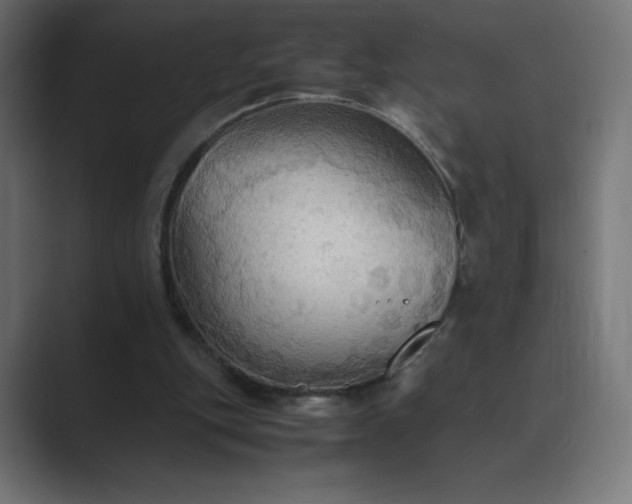 X0000089370151200706291253