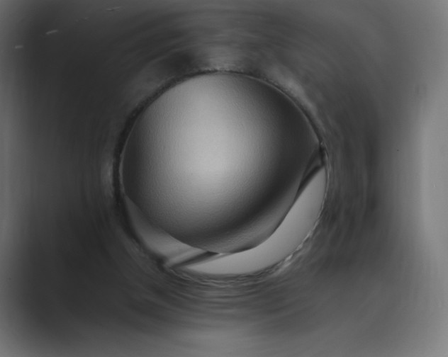 X0000089370154200706291253