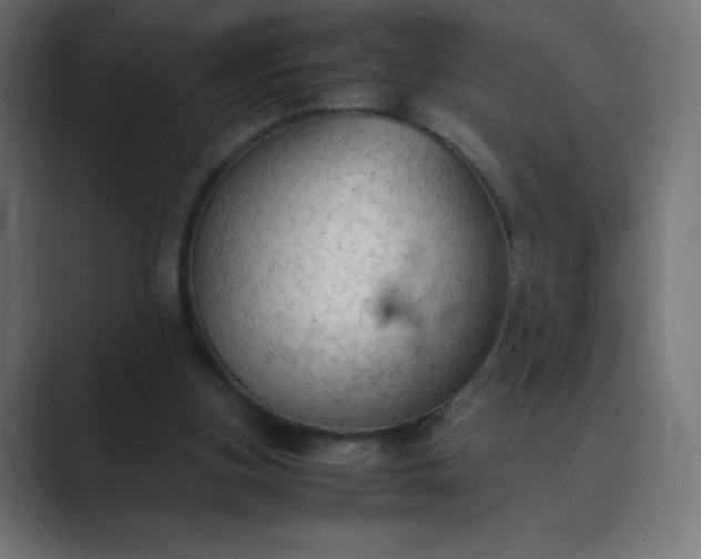 X0000089370155200706291253