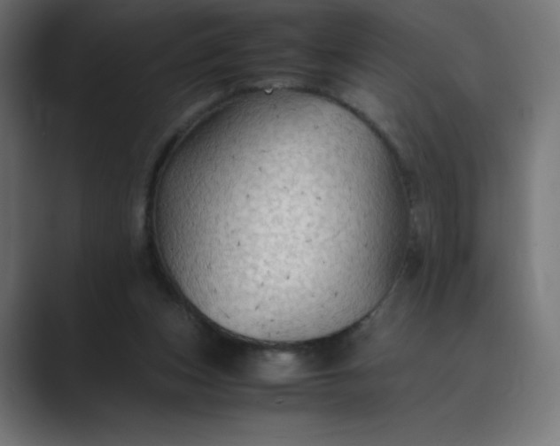 X0000089370159200706291253