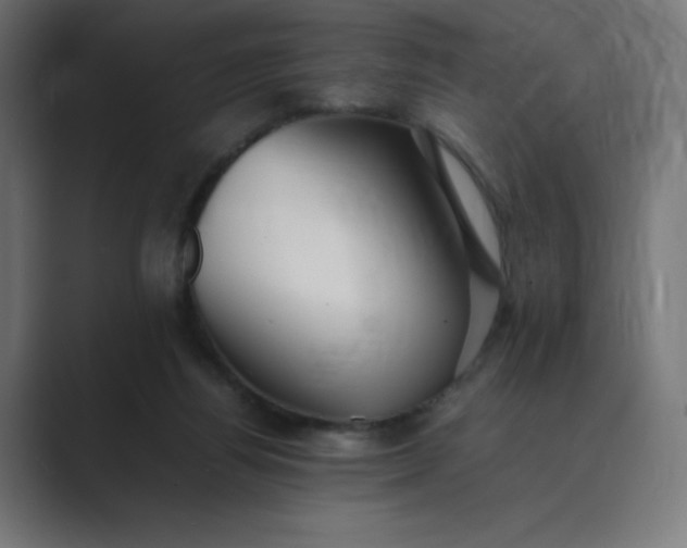 X0000089370164200706291253