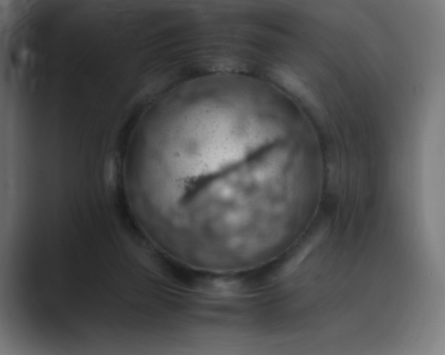 X0000089370165200706291253