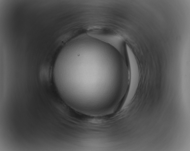 X0000089370168200706291253