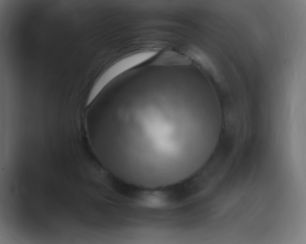 X0000089370169200706291253