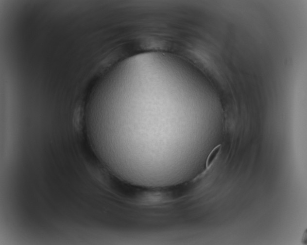 X0000089370171200706291253