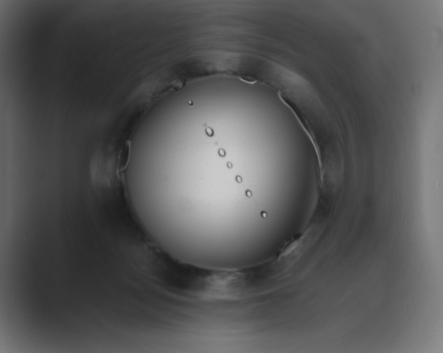 X0000089370172200706291253