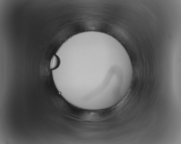 X0000089370174200706291253