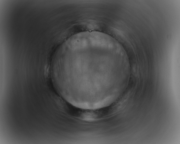 X0000089370177200706291253