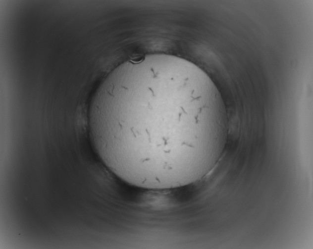X0000089370179200706291254