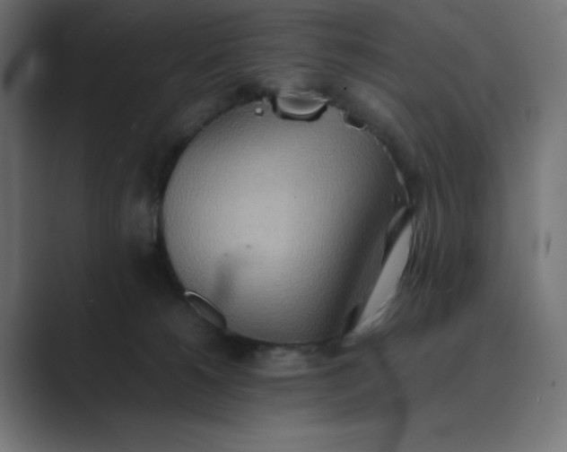 X0000089370180200706291254