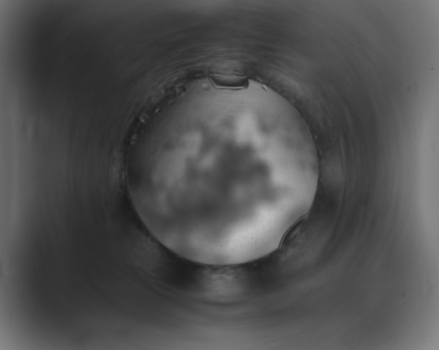 X0000089370181200706291254