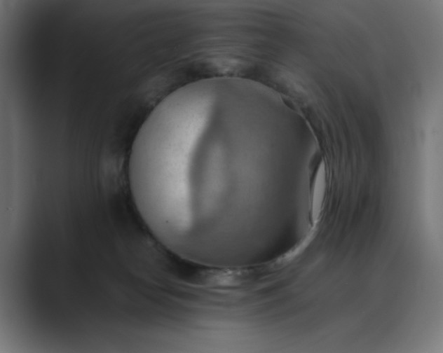 X0000089370182200706291254