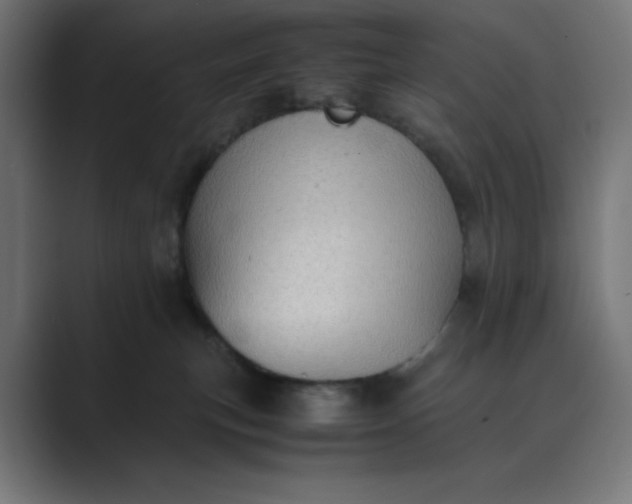 X0000089370183200706291254