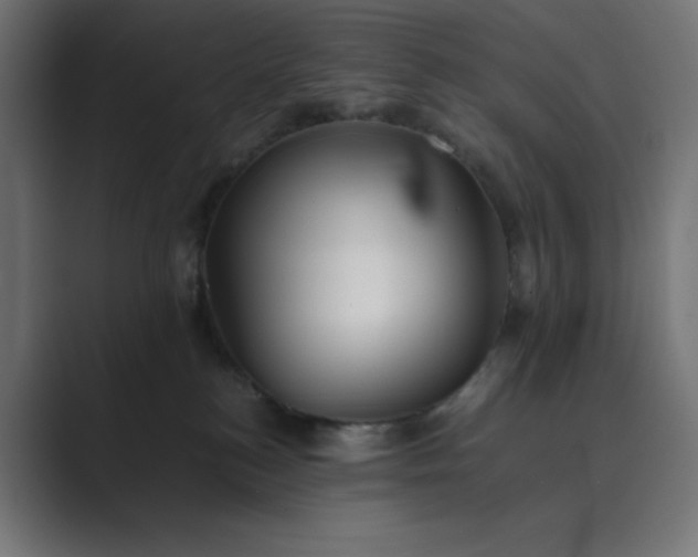 X0000089370184200706291254